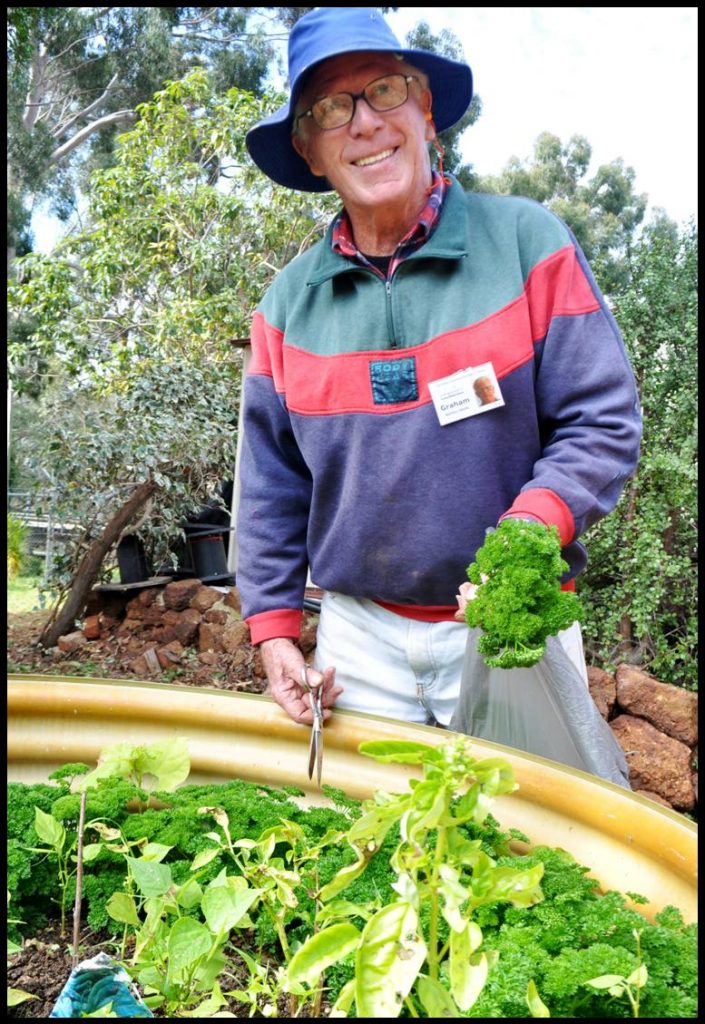 Vegetable Growing Vegetable Growing