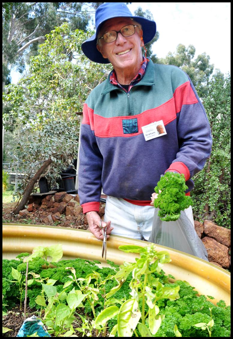 Vegetable Growing Vegetable Growing